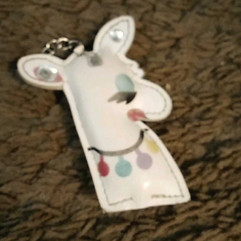 A lama to put on a key